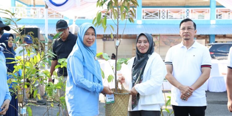 Hari Lingkungan Hidup Sedunia 2026, Pemkab Tanah Bumbu Distribusikan Bibit Tanaman untuk Penghijauan