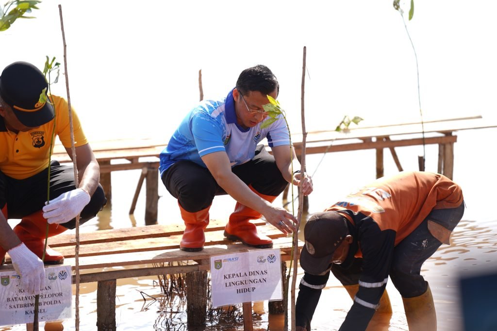 Hari Mangrove Sedunia