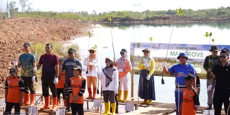 Hari Mangrove Sedunia 2026, Tanah Bumbu Tanam Mangrove untuk Generasi Mendatang