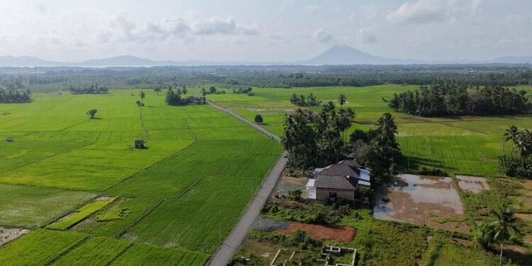 Bupati Andi Rudi Latif Dorong Produktivitas Petani dan Petambak Lewat Pengaspalan Jalan di Desa Sepunggur