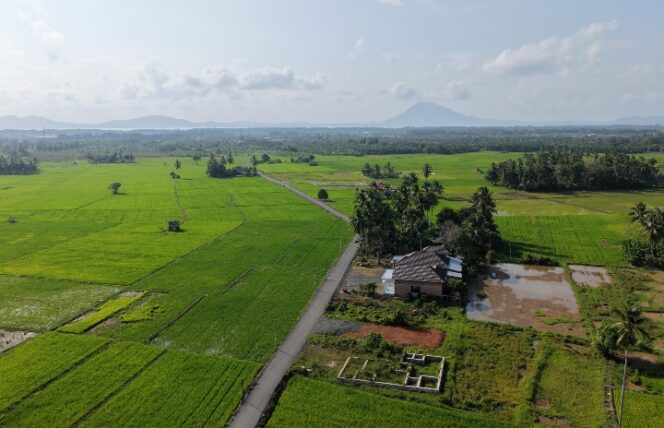 
					Bang Arul Dorong Produktivitas Petani dan Petambak Lewat Pengaspalan Jalan Perdesaan