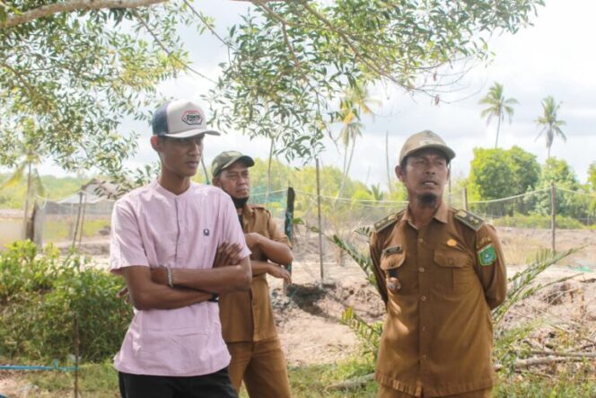 
					Pemkab Tanah Bumbu Tinggikan Tanggul, Petambak Kepiting Muara Pagatan Tak Lagi Cemas Air Pasang