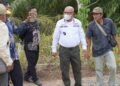 Meningkatkan Kemajuan Daerah, Bupati Tinjau Pembagunan Jalan Tembus Jembatan Tanjung Serdang